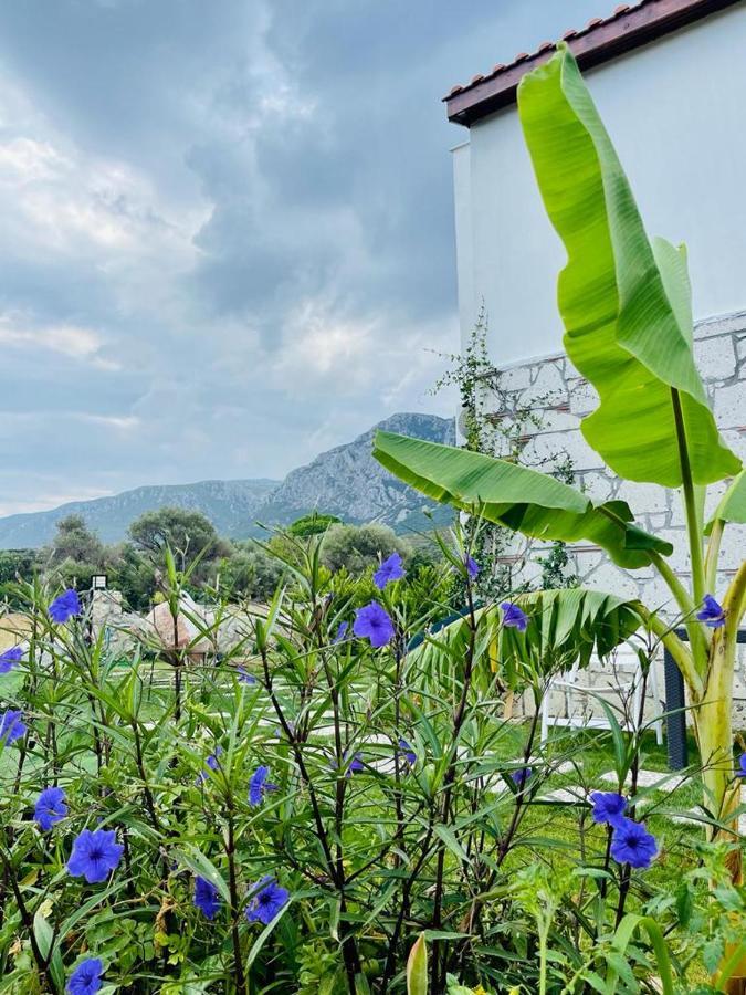 Merlin Apart Otel Karaburun  Dış mekan fotoğraf